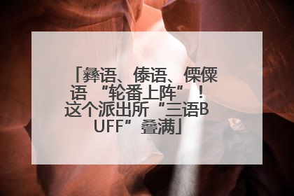 彝语、傣语、傈僳语 “轮番上阵”！这个派出所“三语BUFF”叠满