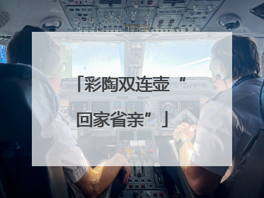 彩陶双连壶“回家省亲”