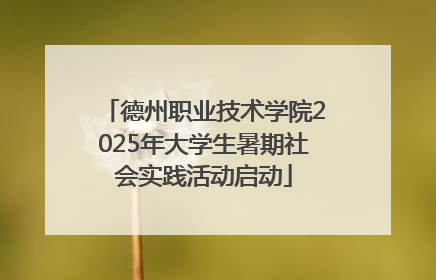德州职业技术学院2025年大学生暑期社会实践活动启动