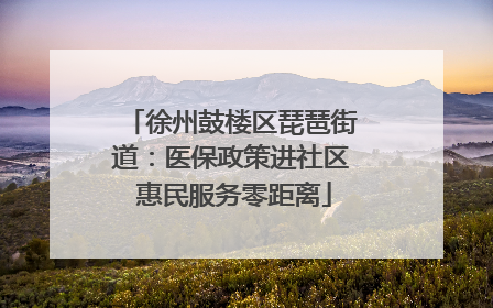 徐州鼓楼区琵琶街道：医保政策进社区 惠民服务零距离