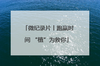 微纪录片丨跑赢时间 “植”为救你