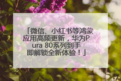 微信、小红书等鸿蒙应用高频更新，华为Pura 80系列到手即解锁全新体验！