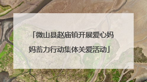微山县赵庙镇开展爱心妈妈蓄力行动集体关爱活动