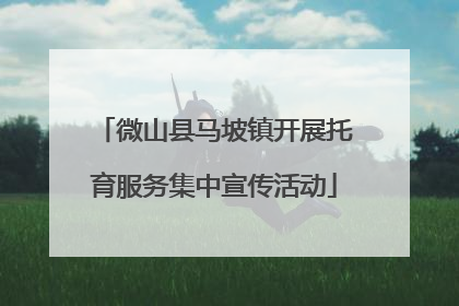 微山县马坡镇开展托育服务集中宣传活动
