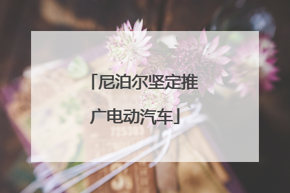 尼泊尔坚定推广电动汽车