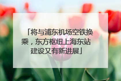 将与浦东机场空铁换乘，东方枢纽上海东站建设又有新进展