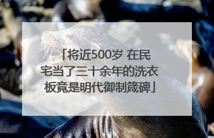 将近500岁 在民宅当了三十余年的洗衣板竟是明代御制箴碑