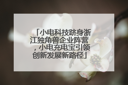 小电科技跻身浙江独角兽企业阵营，小电充电宝引领创新发展新路径