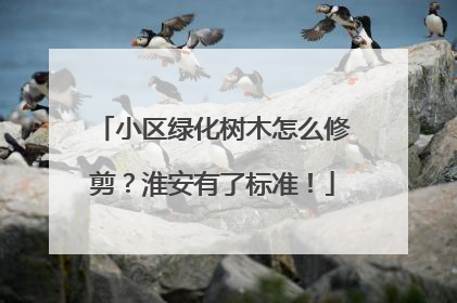 小区绿化树木怎么修剪？淮安有了标准！