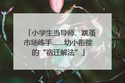 小学生当导师、跳蚤市场练手……幼小衔接的“宿迁解法”