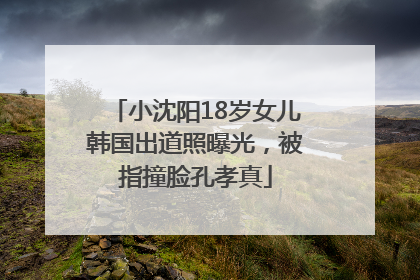 小沈阳18岁女儿韩国出道照曝光，被指撞脸孔孝真