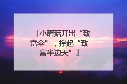 小蘑菇开出“致富伞”，撑起“致富半边天”