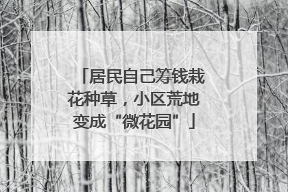 居民自己筹钱栽花种草，小区荒地变成“微花园”