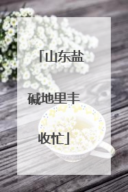 山东盐碱地里丰收忙