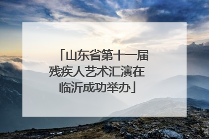 山东省第十一届残疾人艺术汇演在临沂成功举办