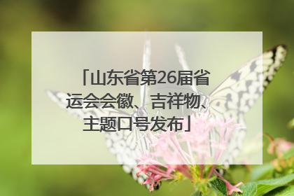 山东省第26届省运会会徽、吉祥物、主题口号发布