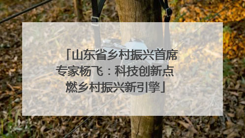 山东省乡村振兴首席专家杨飞：科技创新点燃乡村振兴新引擎