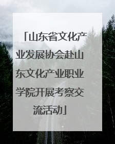 山东省文化产业发展协会赴山东文化产业职业学院开展考察交流活动