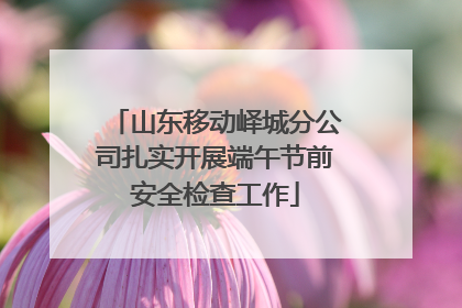 山东移动峄城分公司扎实开展端午节前安全检查工作