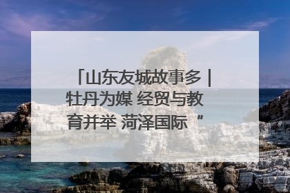 山东友城故事多｜牡丹为媒 经贸与教育并举 菏泽国际“朋友圈”扩容升级
