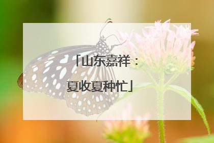 山东嘉祥：夏收夏种忙