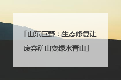 山东巨野：生态修复让废弃矿山变绿水青山