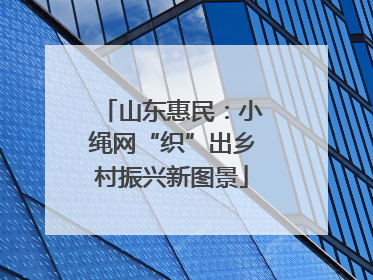 山东惠民：小绳网“织”出乡村振兴新图景
