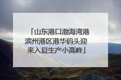 山东港口渤海湾港滨州港区港华码头迎来入夏生产小高峰