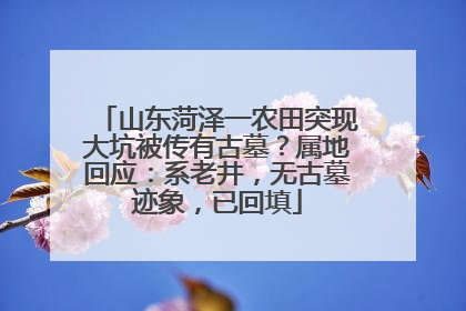 山东菏泽一农田突现大坑被传有古墓？属地回应：系老井，无古墓迹象，已回填