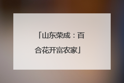 山东荣成：百合花开富农家