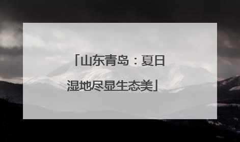 山东青岛：夏日湿地尽显生态美