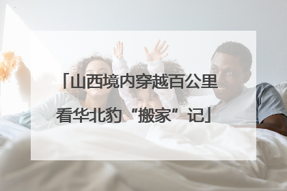 山西境内穿越百公里 看华北豹“搬家”记