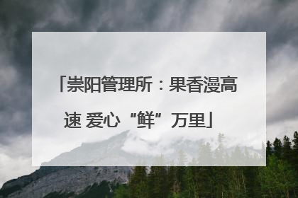 崇阳管理所：果香漫高速 爱心“鲜”万里