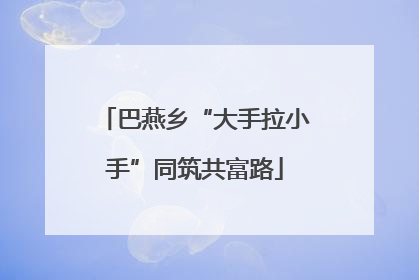 巴燕乡“大手拉小手”同筑共富路