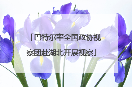 巴特尔率全国政协视察团赴湖北开展视察