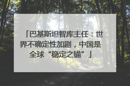 巴基斯坦智库主任：世界不确定性加剧，中国是全球“稳定之锚”