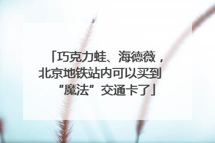巧克力蛙、海德薇，北京地铁站内可以买到“魔法”交通卡了