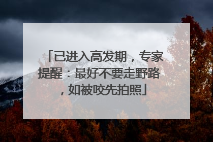 已进入高发期，专家提醒：最好不要走野路，如被咬先拍照