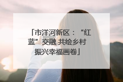 市洋河新区：“红蓝”交融 共绘乡村振兴幸福画卷