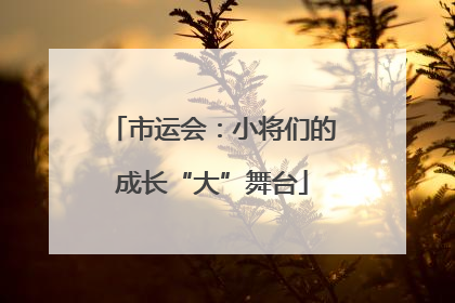 市运会：小将们的成长“大”舞台