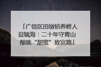 广信区田墩镇养蜂人夏毓海：二十年守青山酿就“甜蜜”致富路