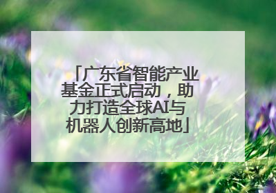广东省智能产业基金正式启动，助力打造全球AI与机器人创新高地