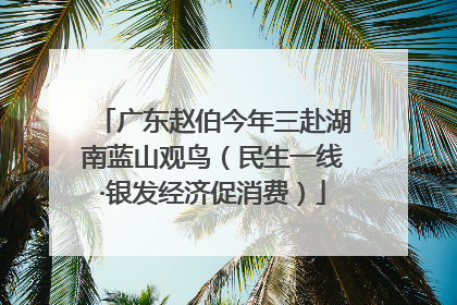 广东赵伯今年三赴湖南蓝山观鸟（民生一线·银发经济促消费）