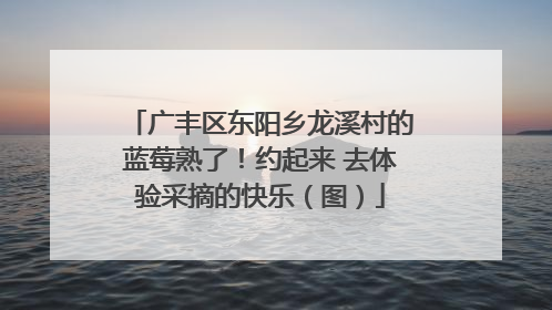 广丰区东阳乡龙溪村的蓝莓熟了！约起来 去体验采摘的快乐（图）