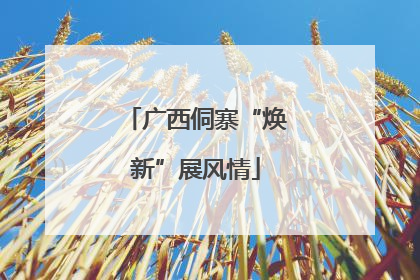 广西侗寨“焕新”展风情