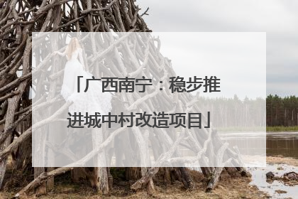 广西南宁：稳步推进城中村改造项目