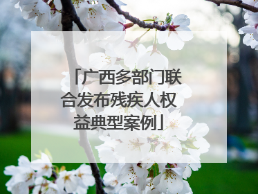 广西多部门联合发布残疾人权益典型案例