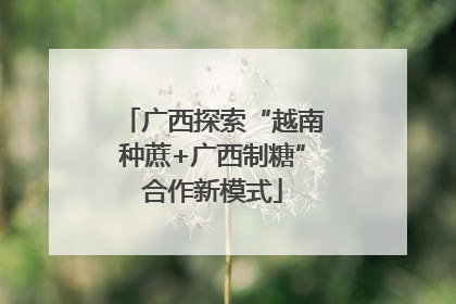 广西探索“越南种蔗+广西制糖”合作新模式