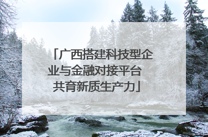 广西搭建科技型企业与金融对接平台 共育新质生产力