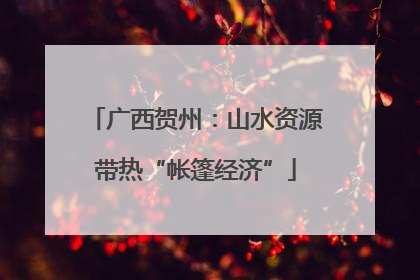 广西贺州：山水资源带热“帐篷经济”